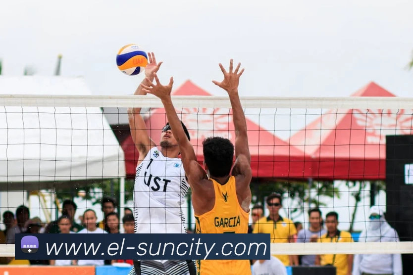 太阳城网站APP 体育赛事宣传图